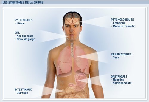 Symptômes de la grippe