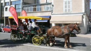 Lire la suite à propos de l’article Le lycée Bascan brille au championnat de France d’escalade 2010