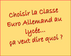 Choisir la classe Euro Allemand au lycée… ça veut dire quoi ?