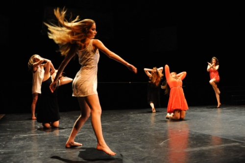 Les sorties spectacles de l’option art danse 2014-2015