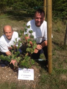 Lire la suite à propos de l’article Première levée du ban des vendanges à Bascan