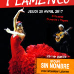 affiche_flamenco.jpg