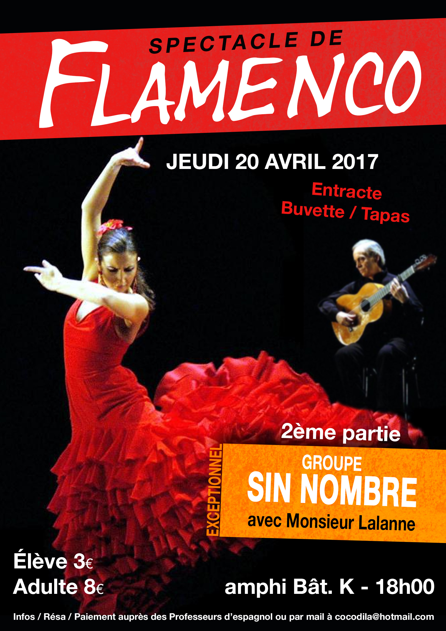 affiche_flamenco.jpg