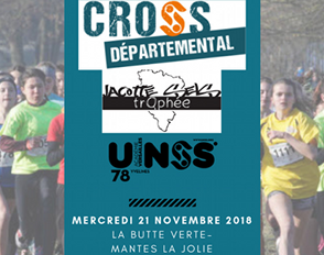 Cross départemental UNSS 78