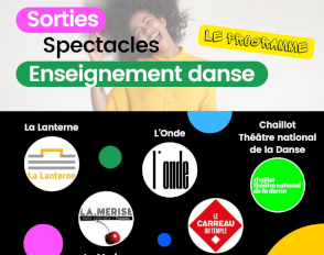 Le programme 2024/2025 des sorties spectacles de l’enseignement danse