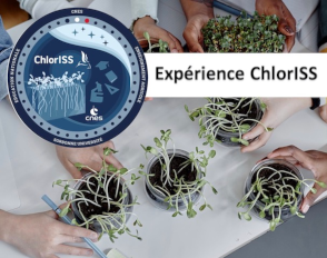 Lire la suite à propos de l’article Le lycée Bascan embarque pour l’espace avec le projet astrobotanique ChlorISS