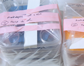 Au printemps 2026, l&rsquo;expérience ChlorISS prend racine au lycée Bascan